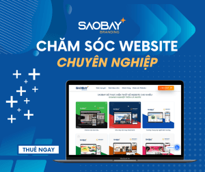 Dịch Vụ Chăm Sóc Website Chuyên Nghiệp Và Chất Lượng